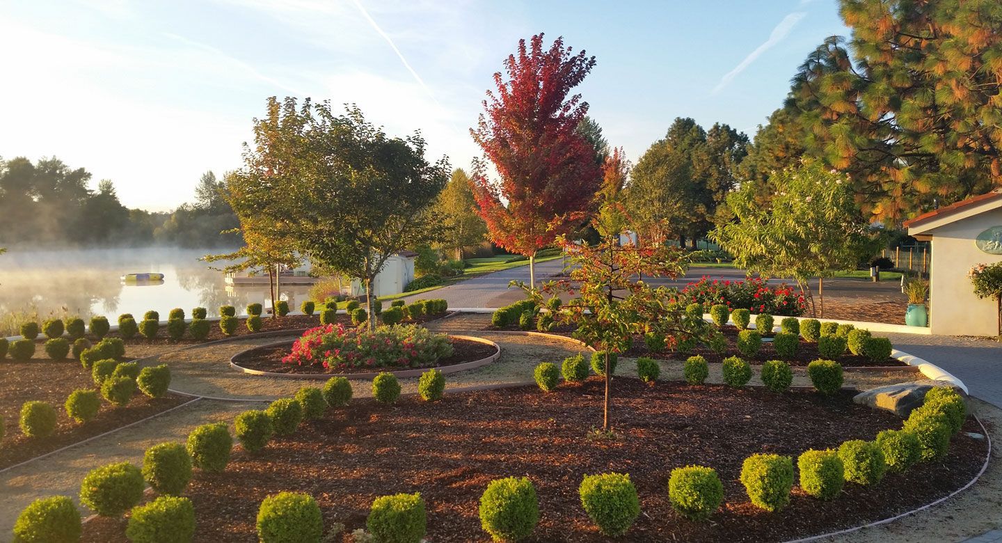 A garden with trees and bushes and a pond in the background