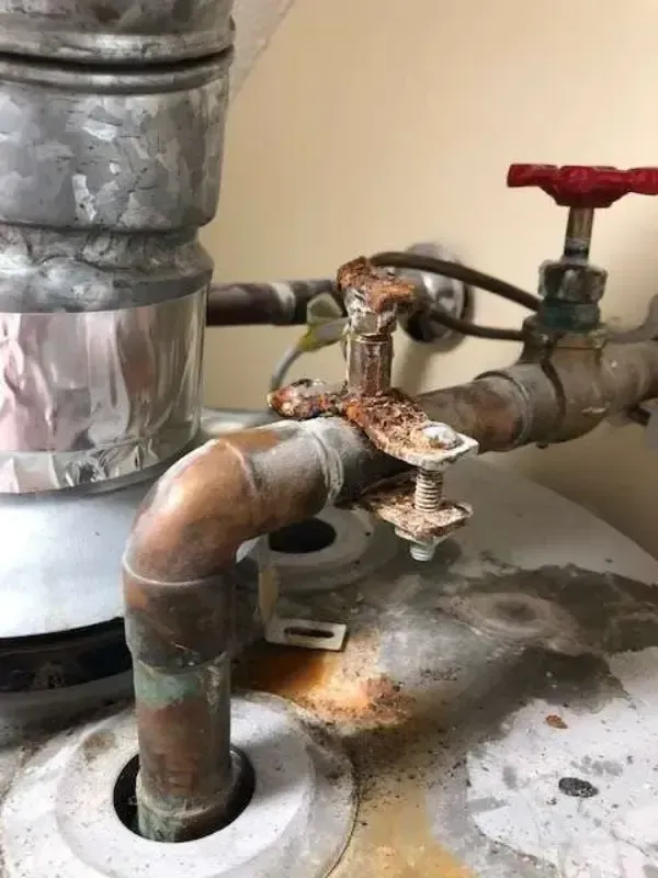 home inspectors auburn al

