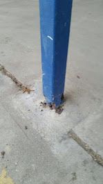 A blue pole is sitting on top of a concrete floor.