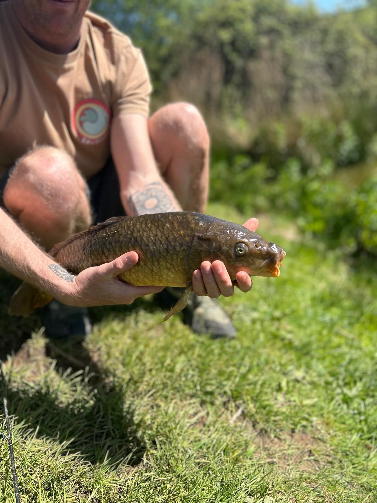 Rolling farmland from the base at EduDiverse