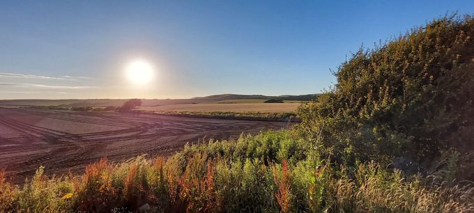 EduDiverse rolling farmland view on the Isle of Wight