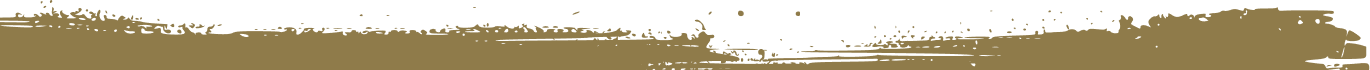 A blurry, brown landscape with a white, hazy sky above.