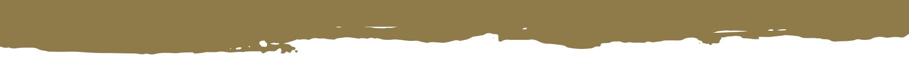 A blurred brown background with a white line at the bottom.