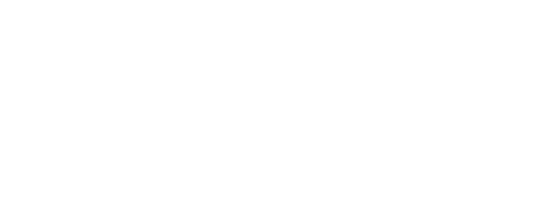 A logo for nigerians in diaspora chamber of commerce