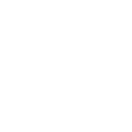 Document Icon