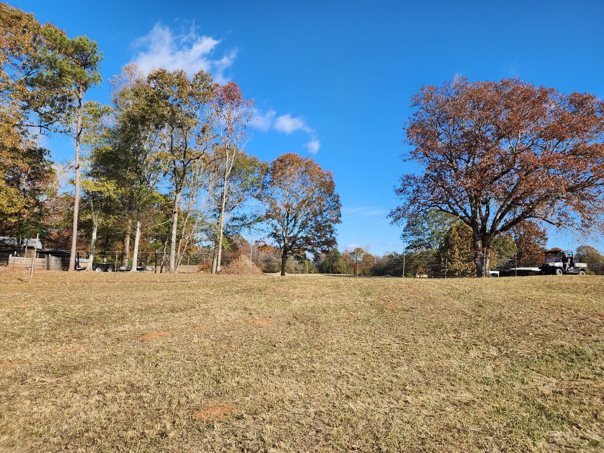 A field with trees in the background and a blue sky