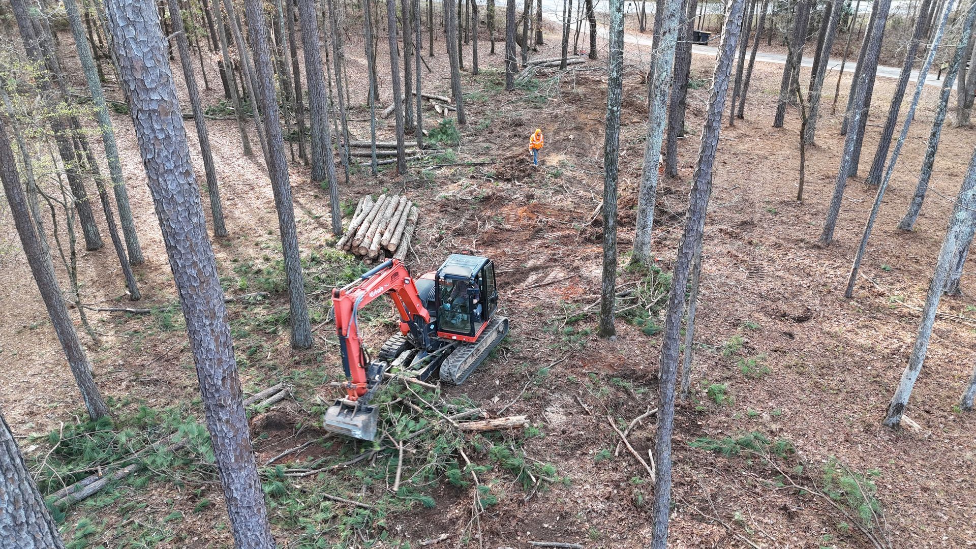 An excavator clearing trees in a forest. Logs and debris surround the machine.