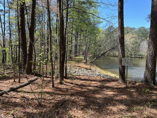 There is a lake in the middle of the woods surrounded by trees.