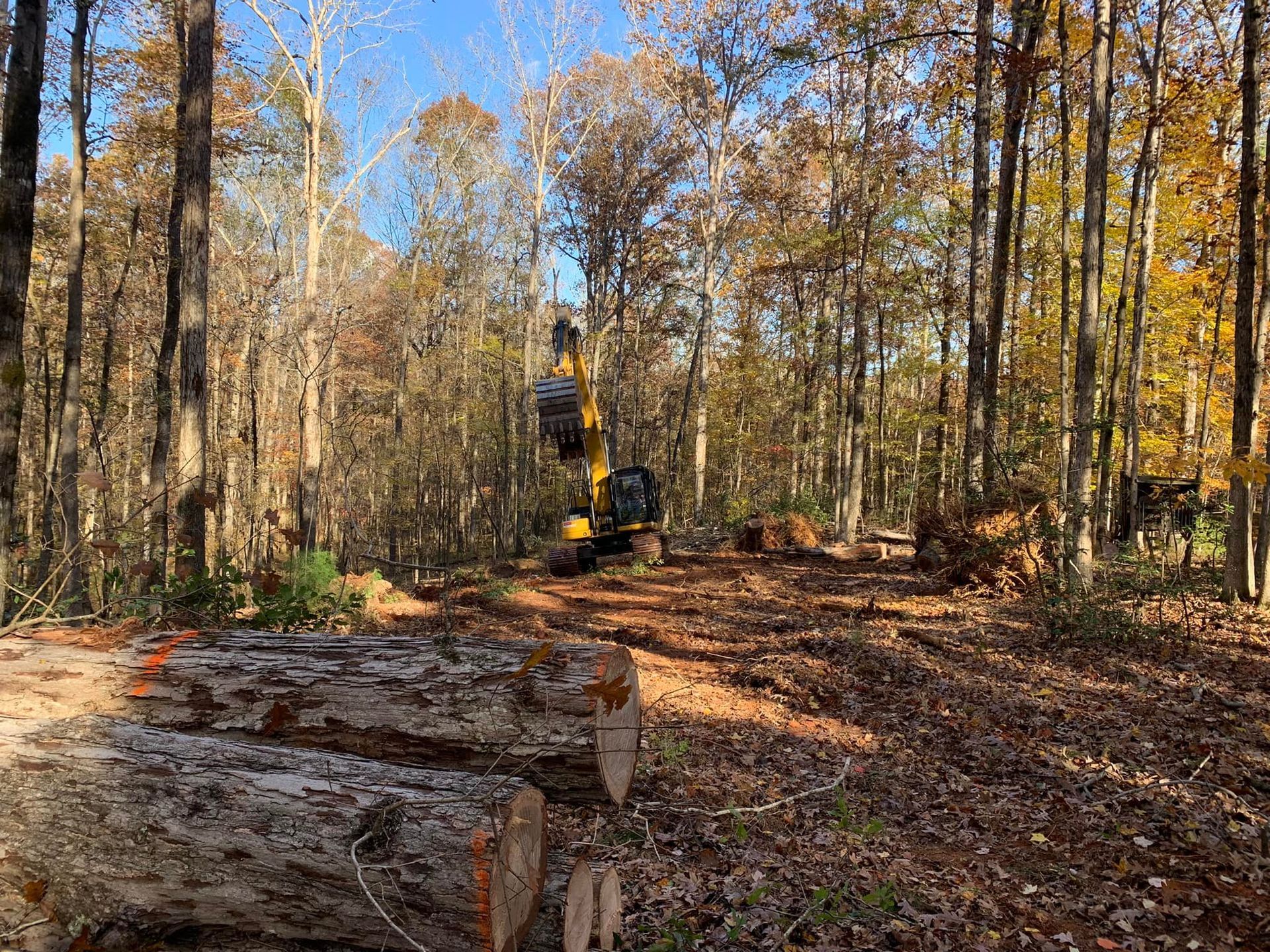 A tractor is cutting down trees in the woods.