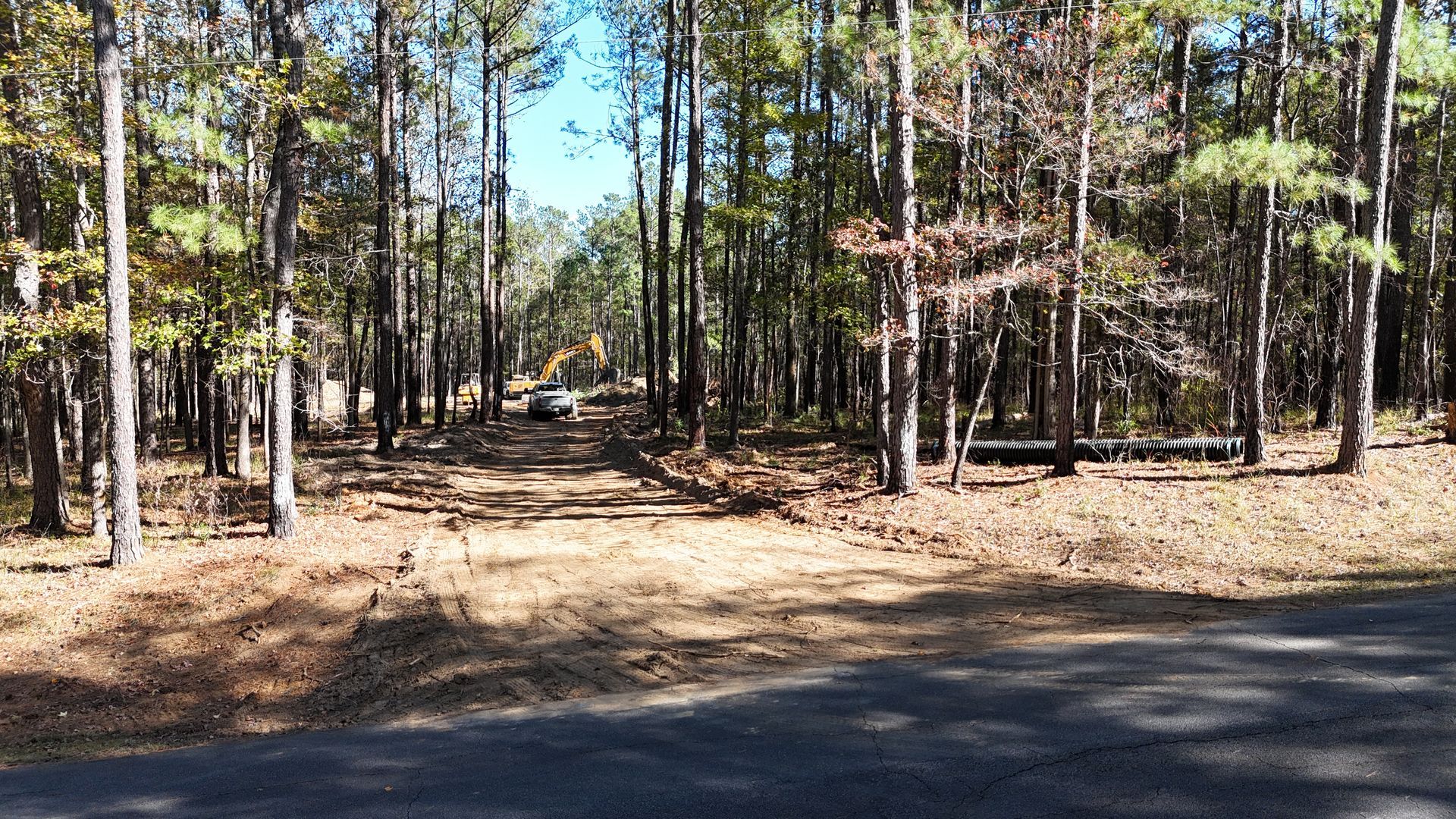 A car is driving down a dirt road in the middle of a forest.