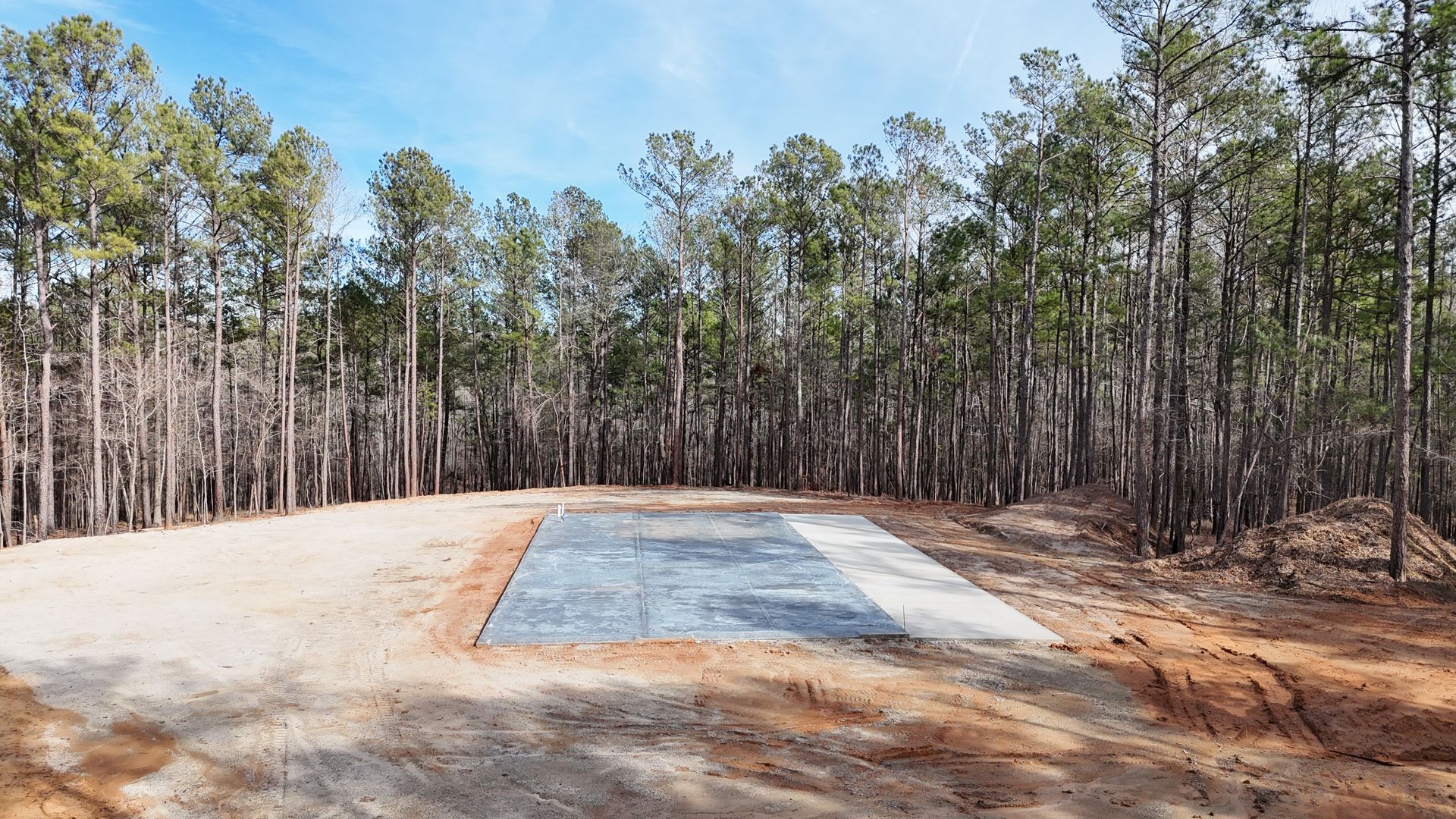 A large concrete slab is sitting in the middle of a forest.
