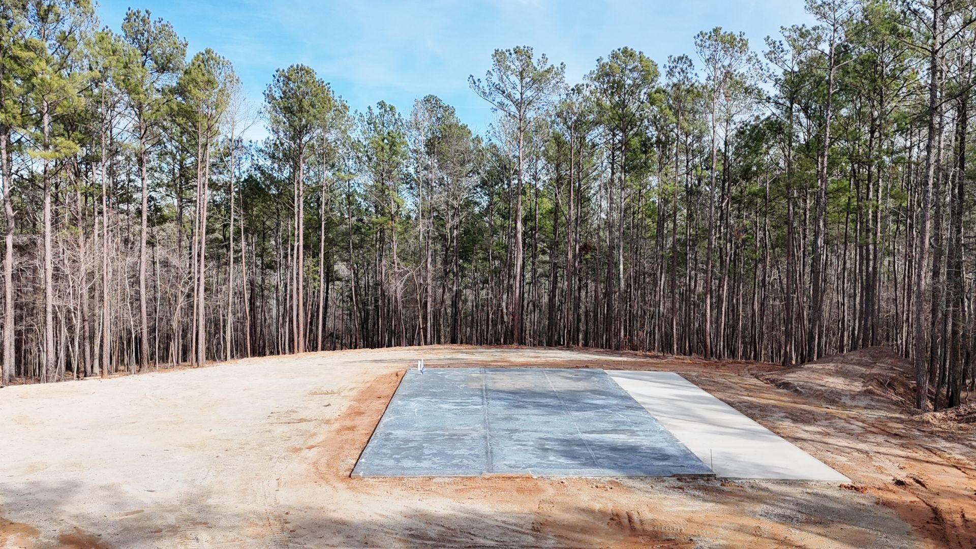 A large concrete slab is sitting in the middle of a forest.