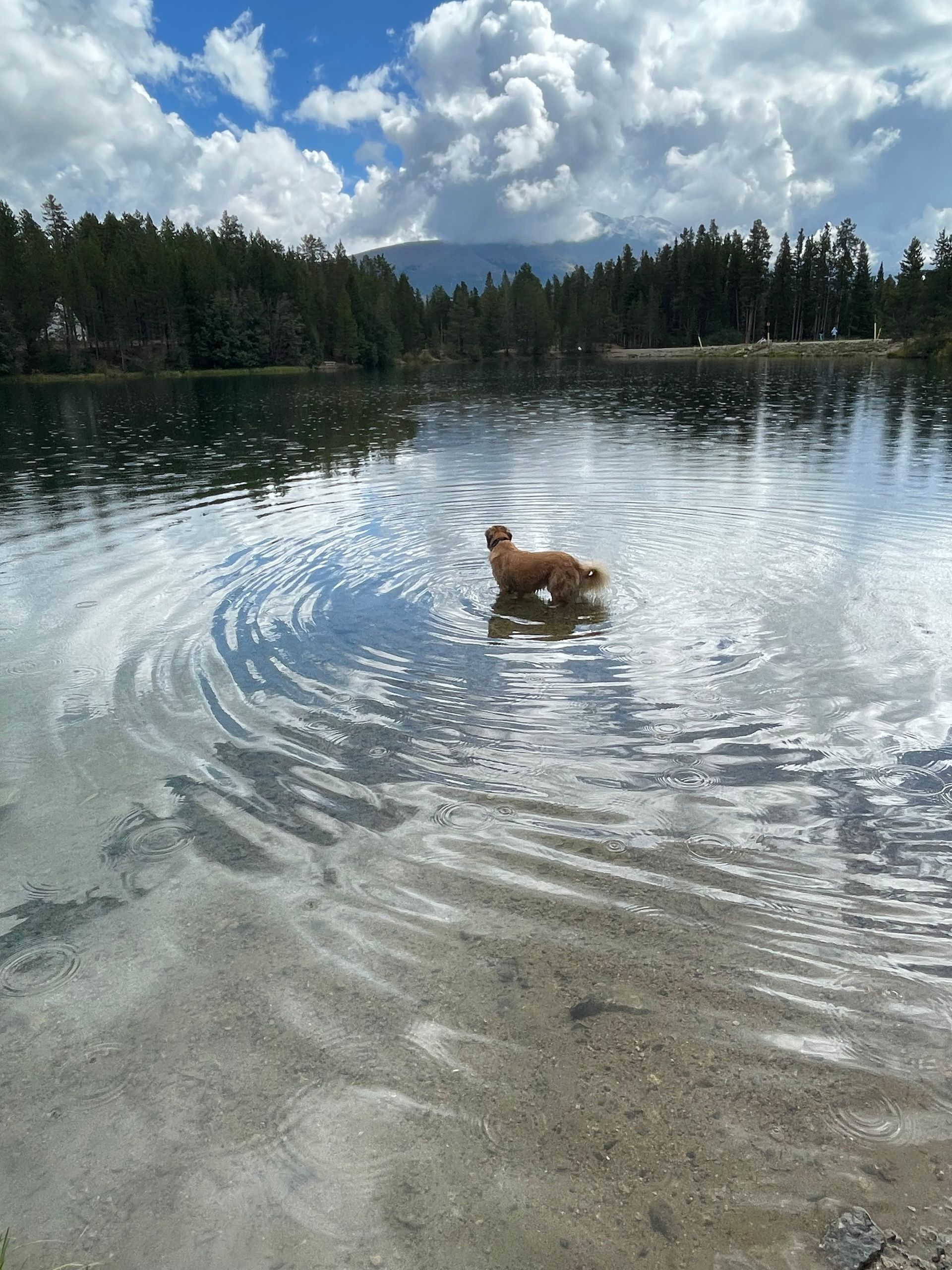 Casey at ripple and root therapy in colorado
