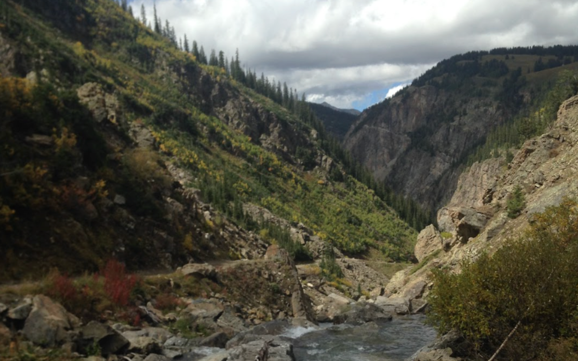 mountain range at ripple and root therapy in colorado