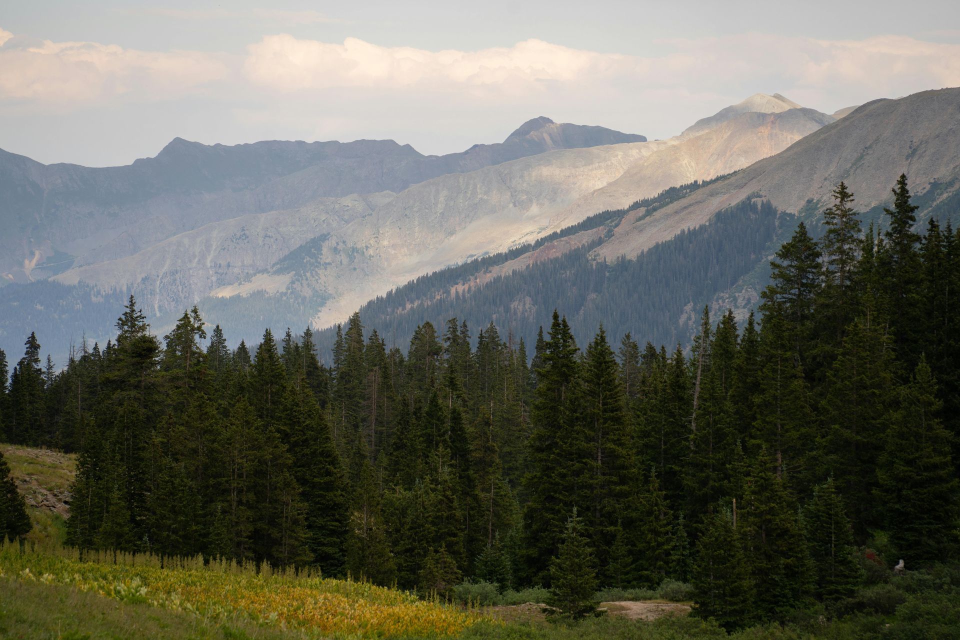 mountains behind a field at ripple and root therapy in colorado