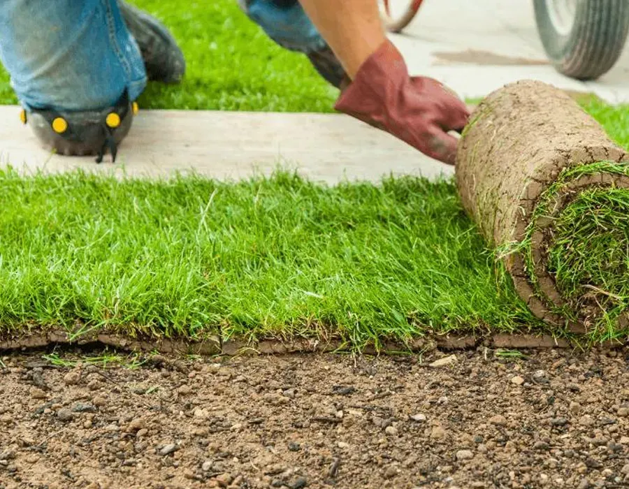 Person laying sod over a lawn edge with a rolled grass strip and hand tools