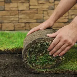 Hands unroll a roll of sod onto dark soil in a yard, with stone edging in the background