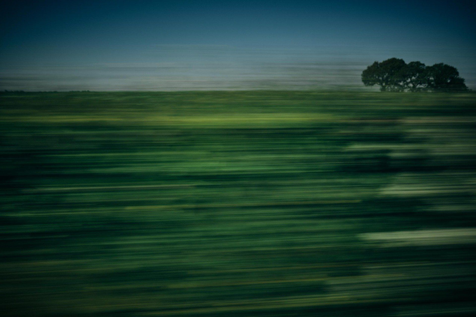 Summer Fields Two, Rural Collection @Oana M. Baković - Fine Art Photography, 2021.