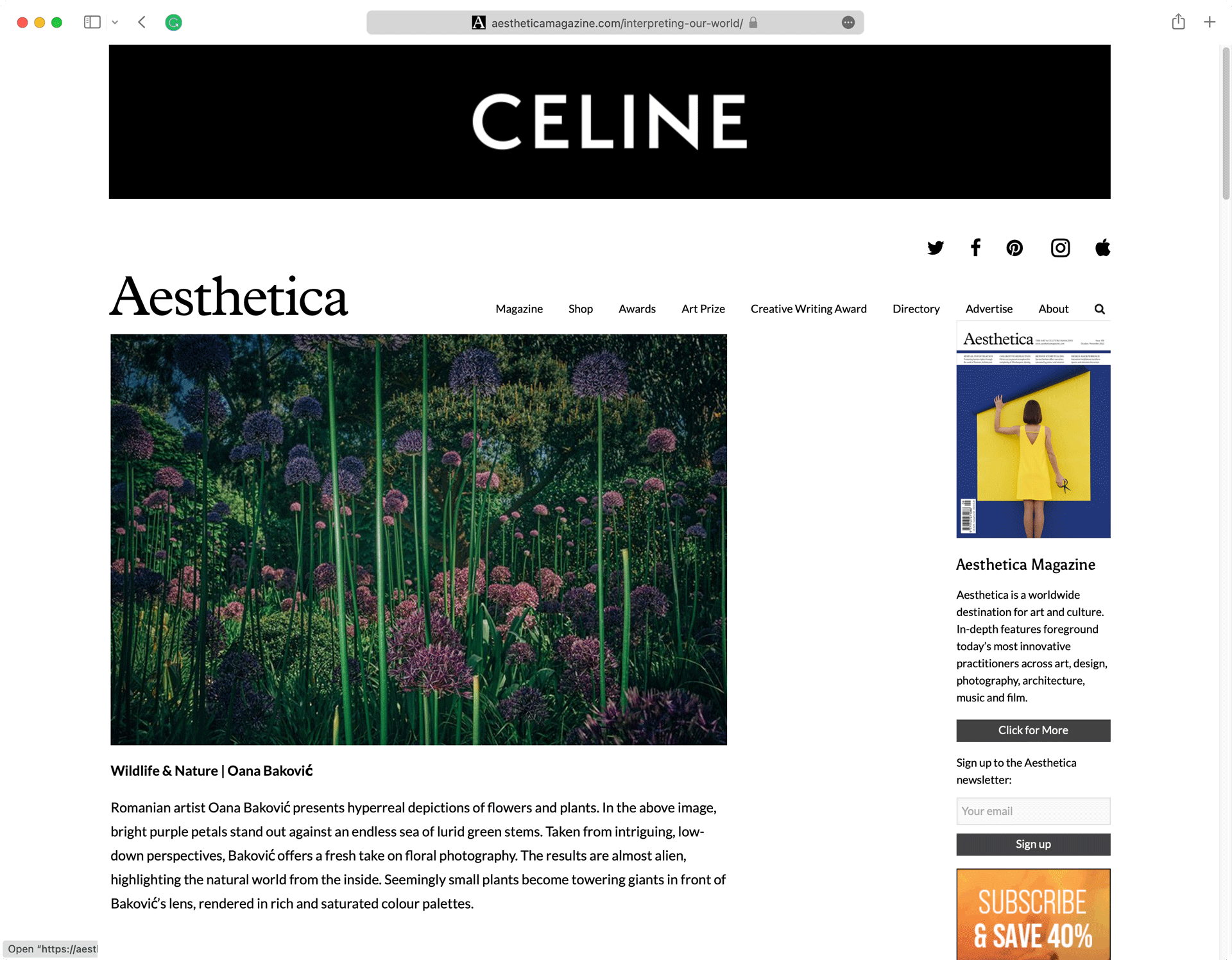 Oana Baković, Interpreting Our World @Aesthetica Magazine, February 2022.