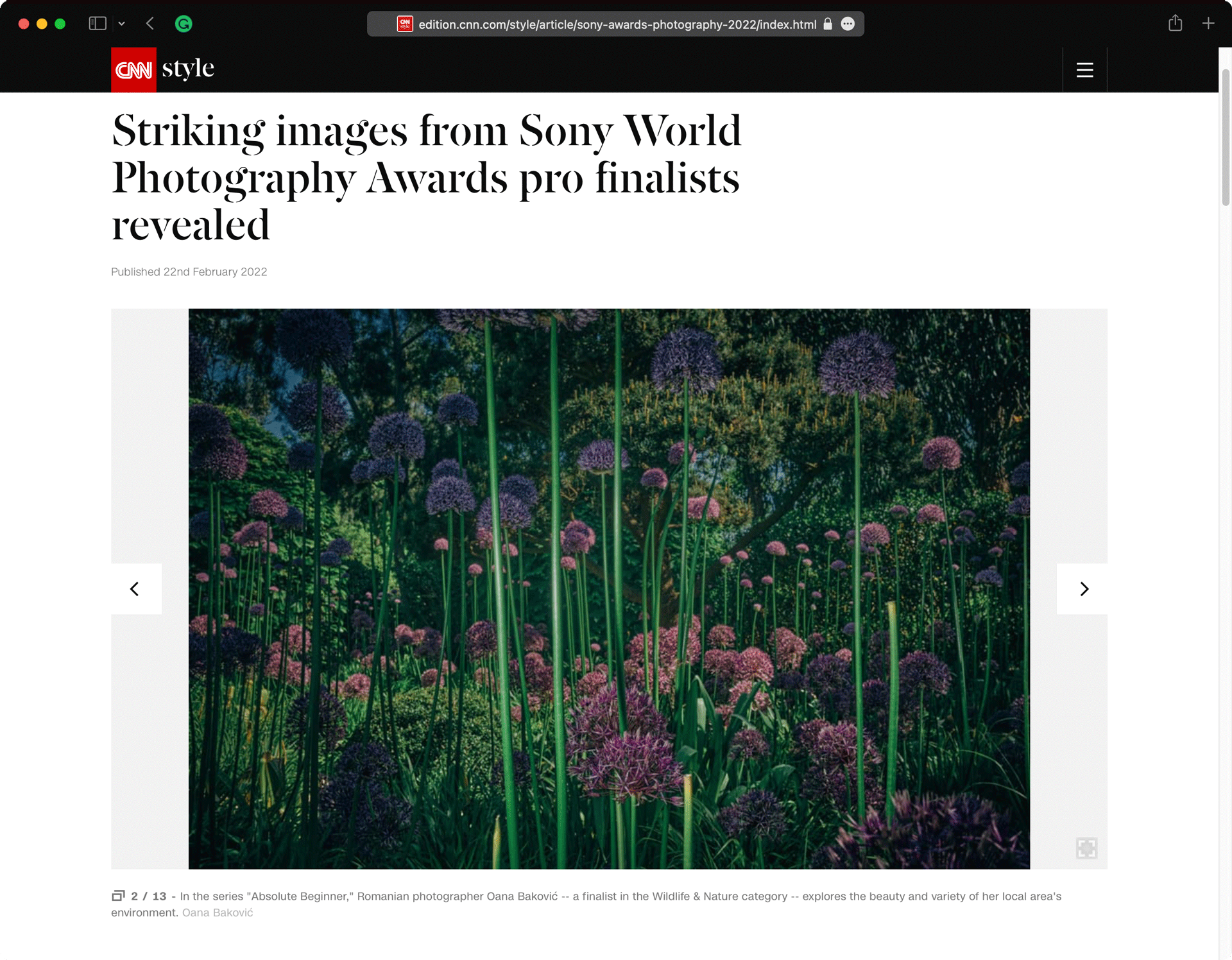 Oana Baković, Striking Images From Sony World Photography Awards: Pro Finalists Revealed @CNN Style, February 2022.