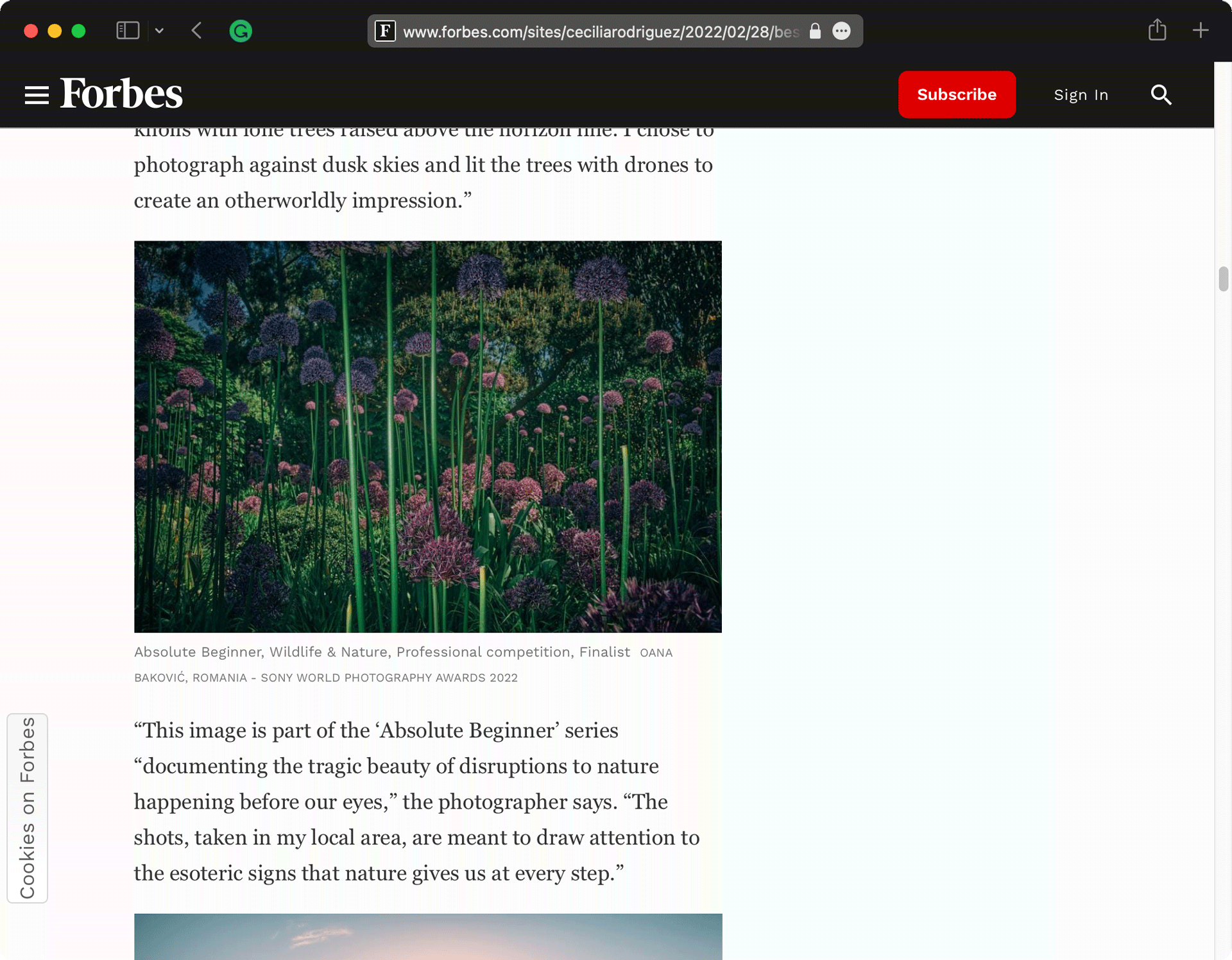 Oana Baković, 22 Remarkable Professional Photo Finalists Of 2022 @Forbes, February 2022.