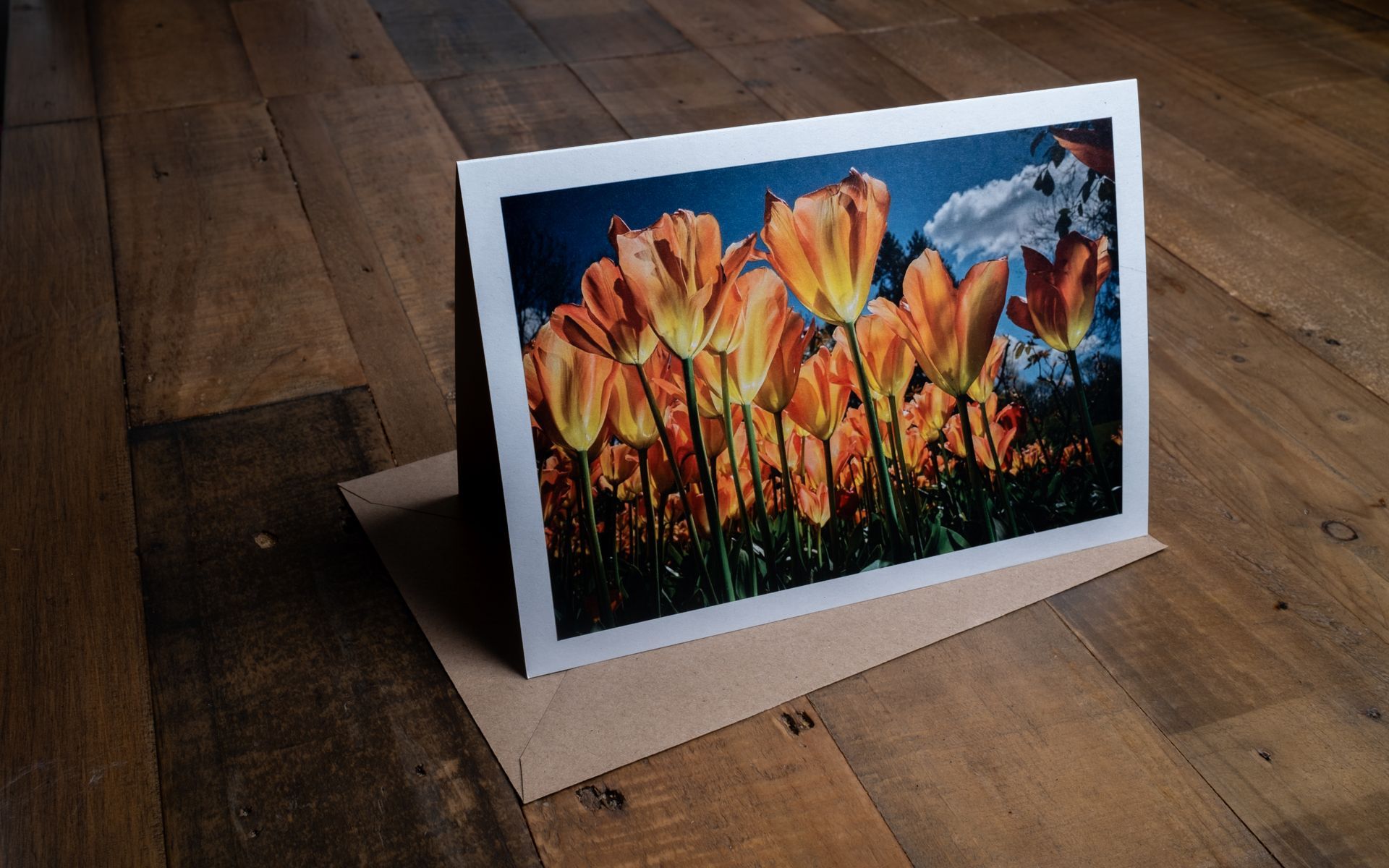 Clockwork Orange - 100% Sustainable Greeting Card featuring award-winning floral photography by Oana M. Baković.