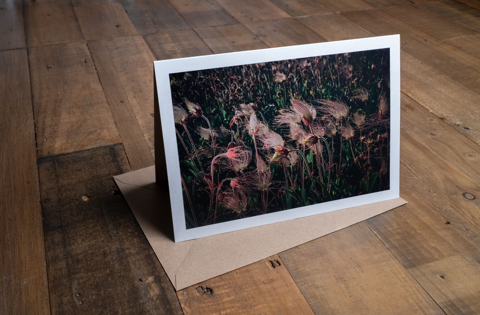 Punk's Not Dead  - 100% Sustainable Greeting Card featuring award winning floral photography by Oana M. Baković.