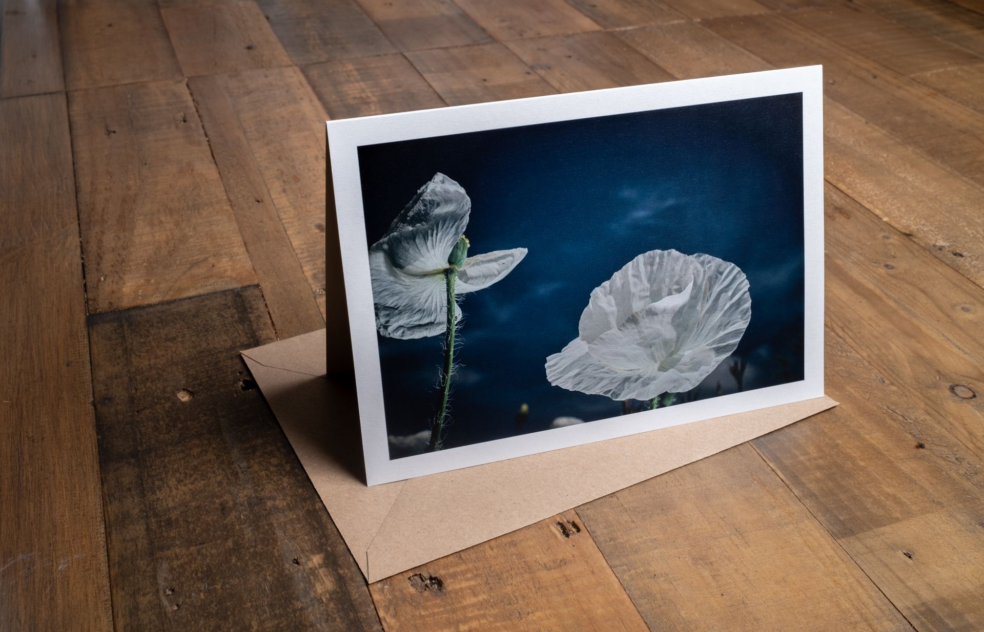 One Of A Kind - 100% Sustainable Greeting Card featuring award-winning floral photography by Oana M. Baković.