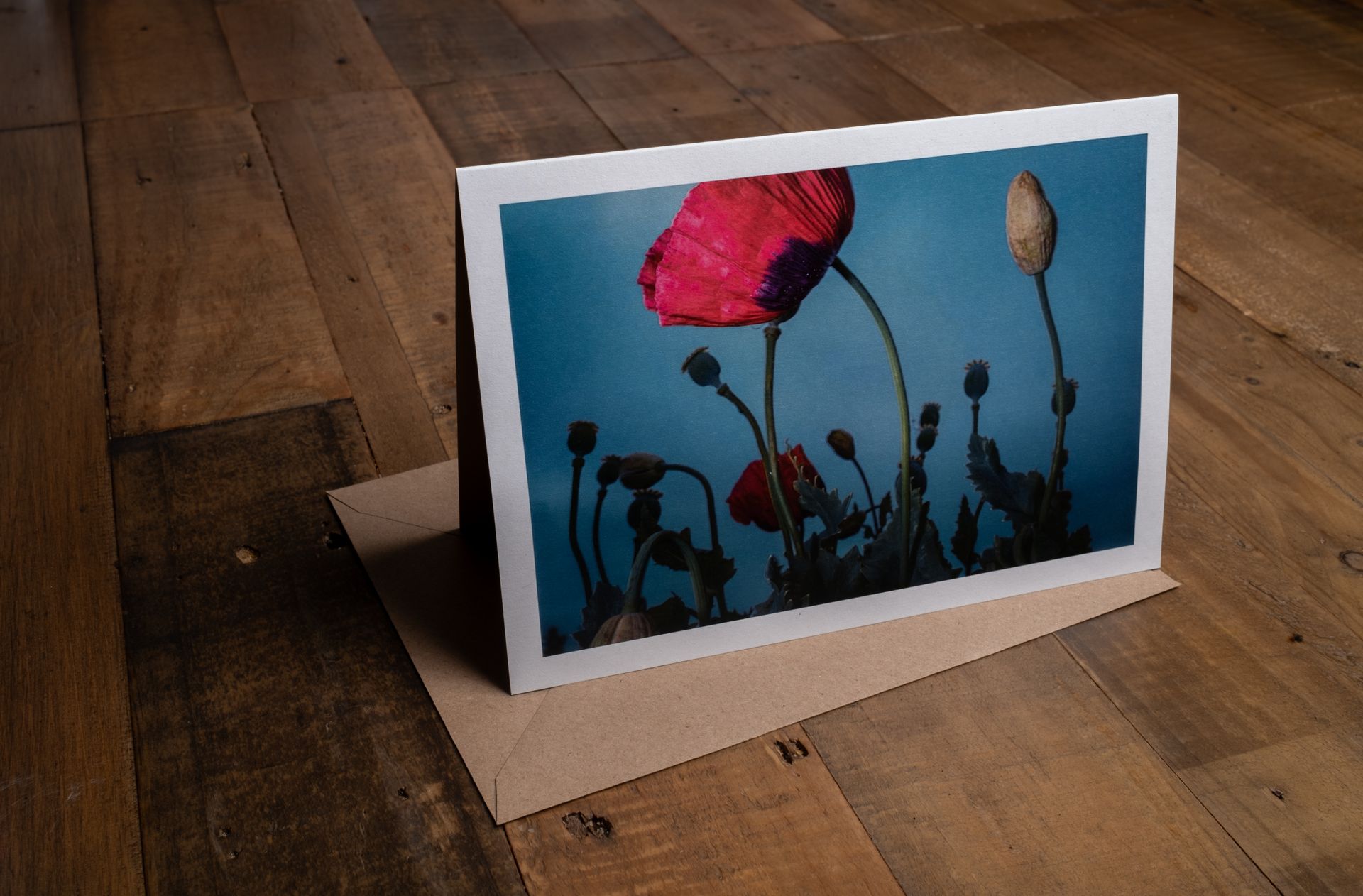 The Band - 100% Sustainable Greeting Card featuring award winning floral photography by Oana M. Baković.