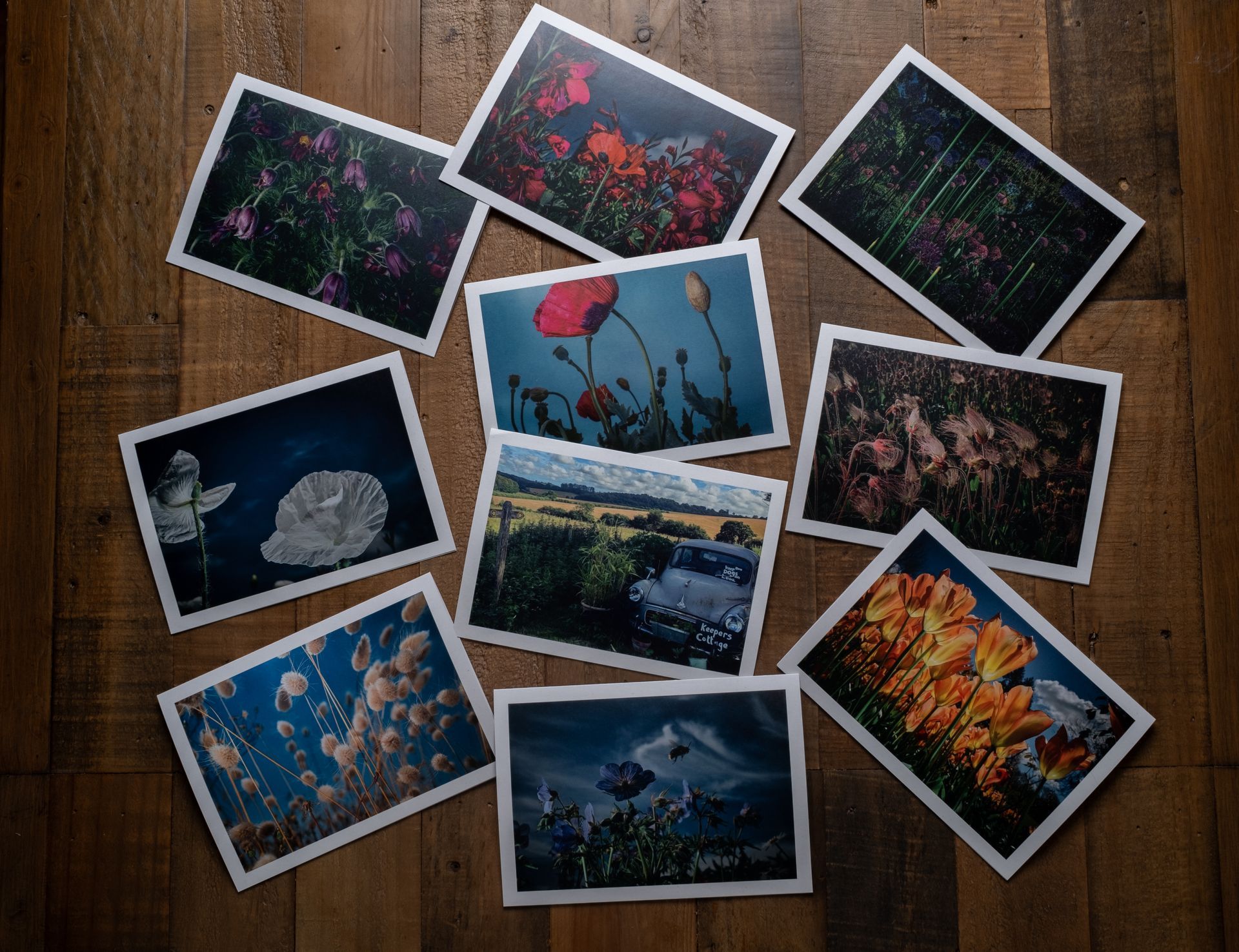 Image of the Greeting Cards featuring flower and rural photography by Oana M. Baković.