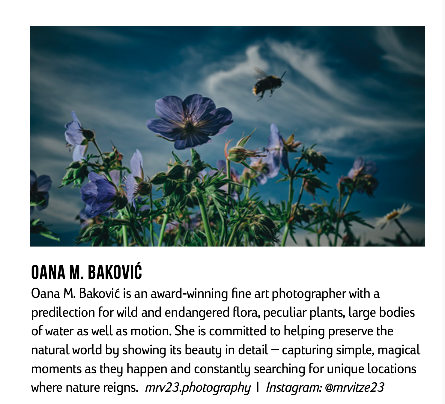 Oana Baković @Aesthetica Magazine, Artist Directory, Issue 112, April / May 2023.