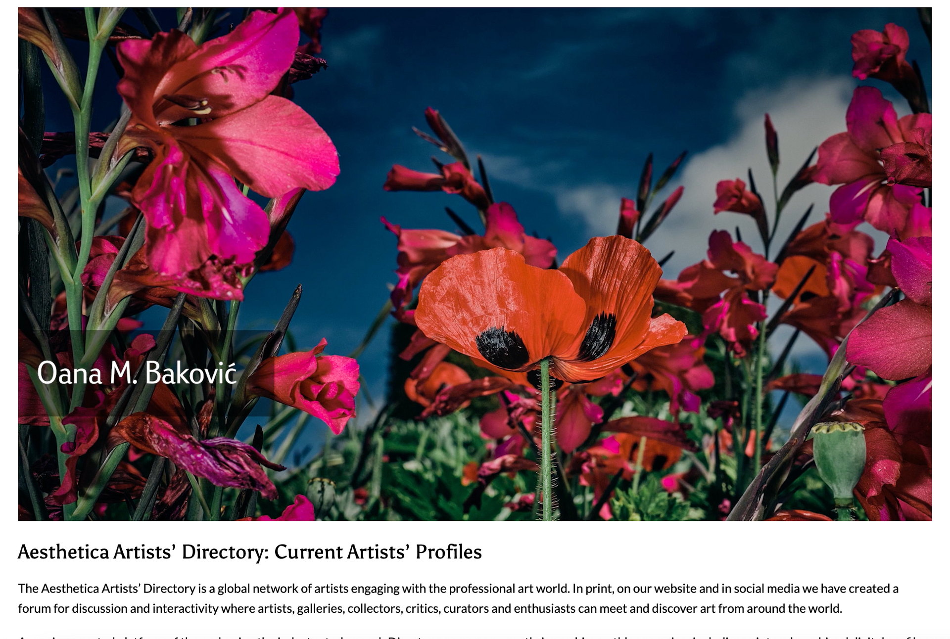 Oana Baković @Aesthetica Magazine, Artist Directory, Issue 112, April / May 2023.