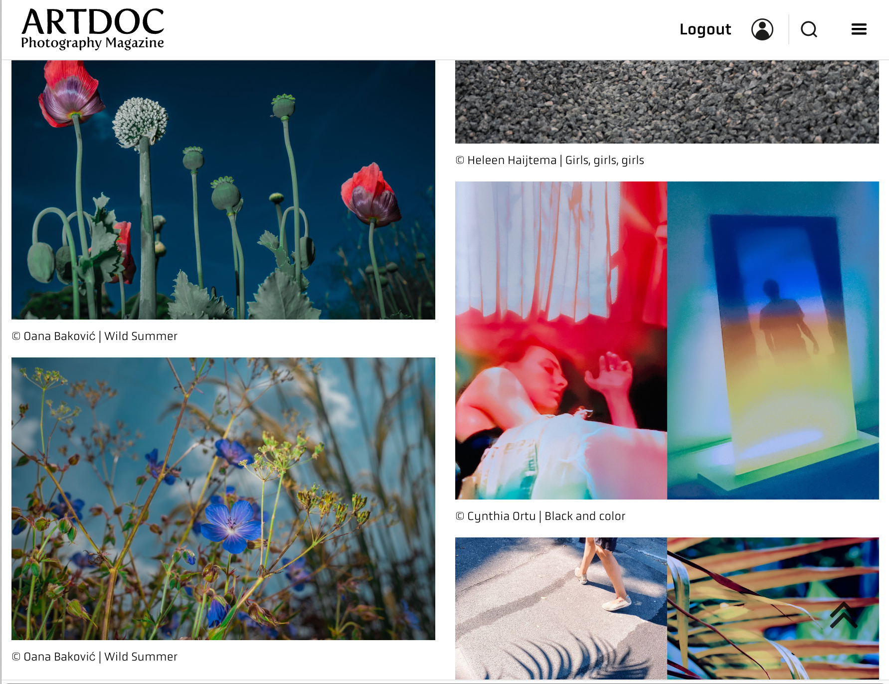 Oana Baković's floral photography @Artdoc Photography Magazine, Exploring Shapes and Colours Exhibition, August 2023.