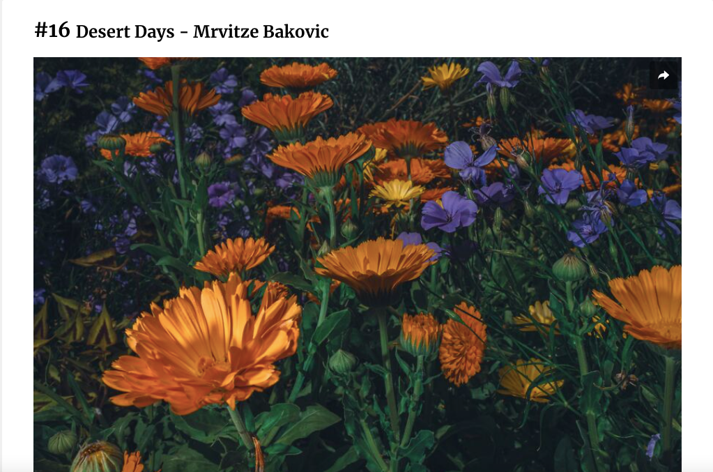 Mrvitze Baković Feature’Nature Photography: 20 Winning Images Of The International Photo Awards 2022' @Bored Panda, 2022.