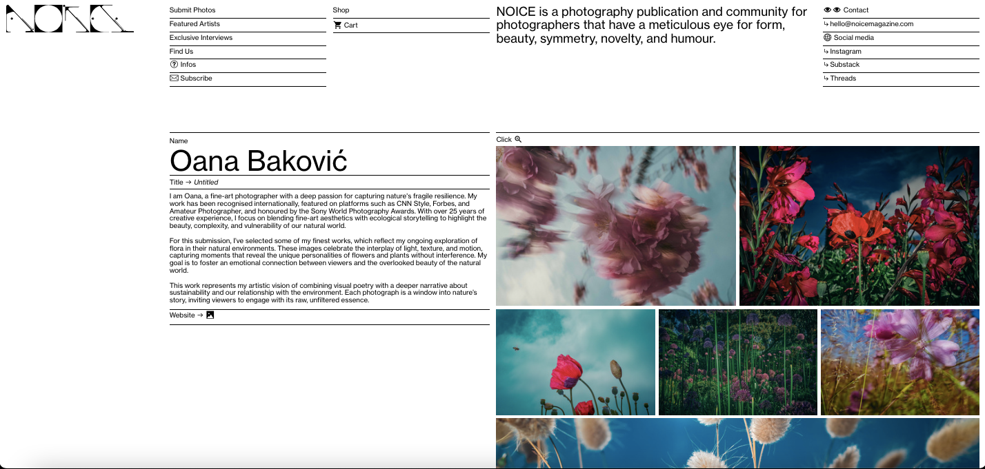 Oana Baković’s Artist Feature @NOICE Magazine, December 2024
