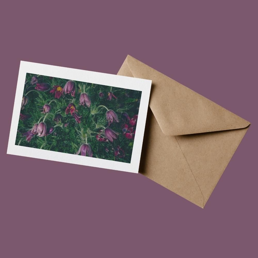 Wind Flowers - 100% Sustainable Greeting Card featuring award winning floral photography by Oana M. Baković.