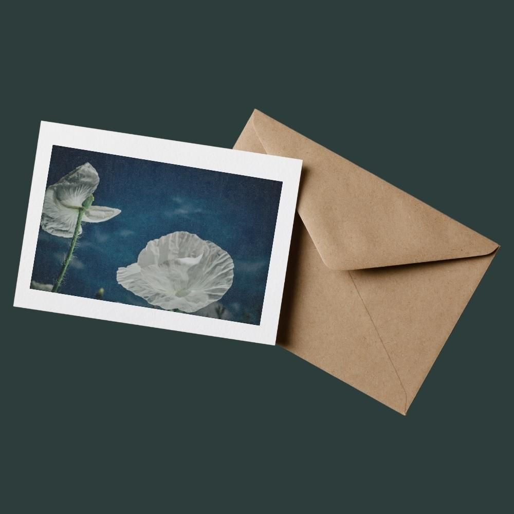 One Of A Kind - 100% Sustainable Greeting Card featuring award-winning floral photography by Oana M. Baković.