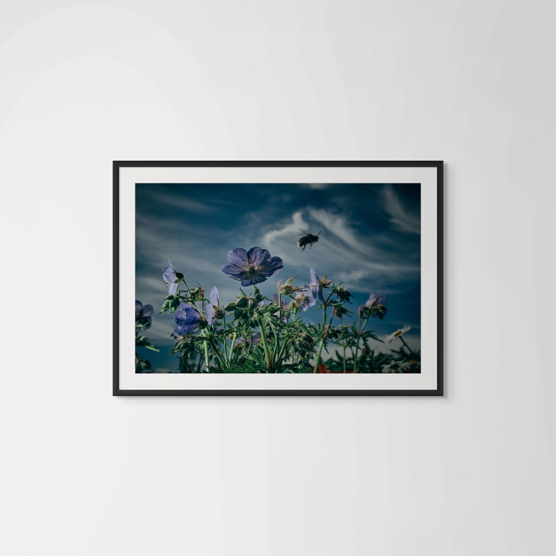 Clubbing, award-winning nature photography captured in East Sussex's gardens @Oana Baković, 2021.