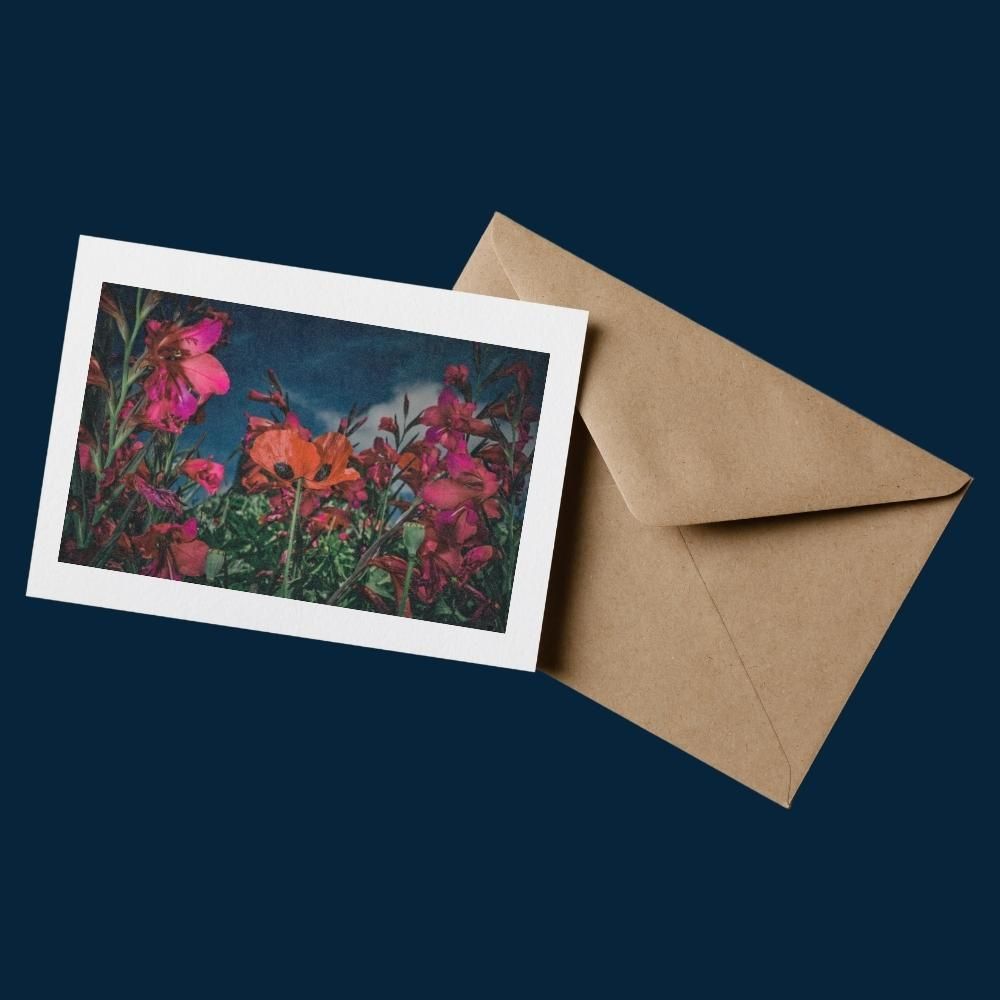 Fiesta - 100% Sustainable Greeting Card featuring award-winning floral photography by Oana M. Baković.