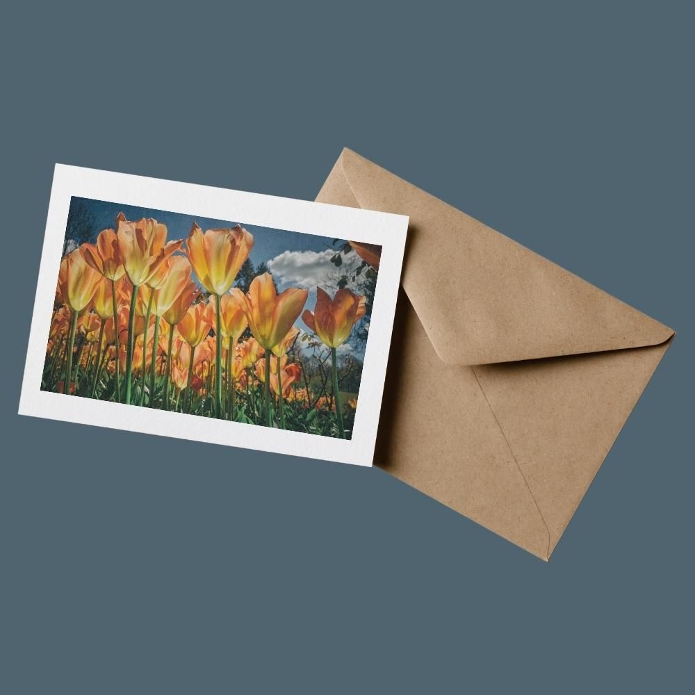 Clockwork Orange - 100% Sustainable Greeting Card featuring award-winning floral photography by Oana M. Baković.