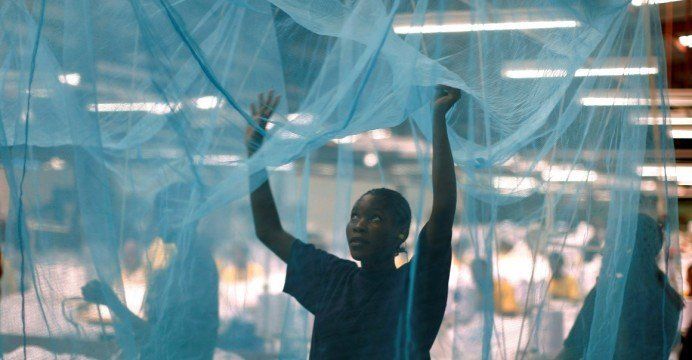 Why Use Long Lasting Insecticidal Nets, How Malaria Can Be Avoided
