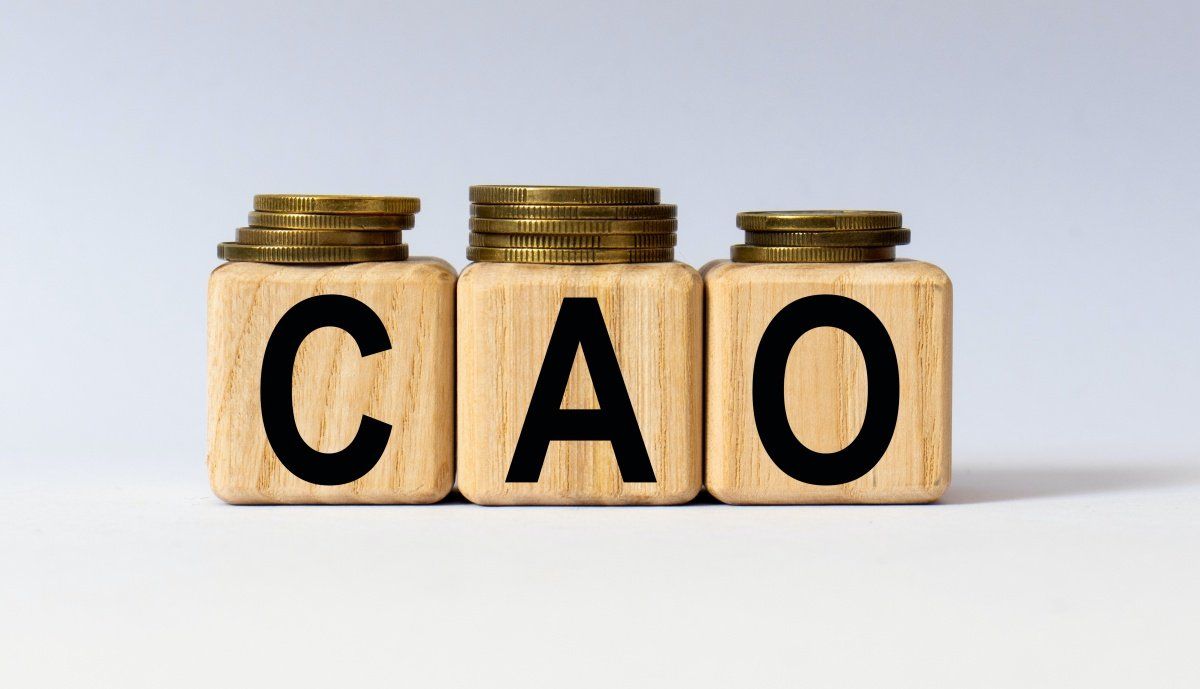 CAO is the Dutch word for CLA