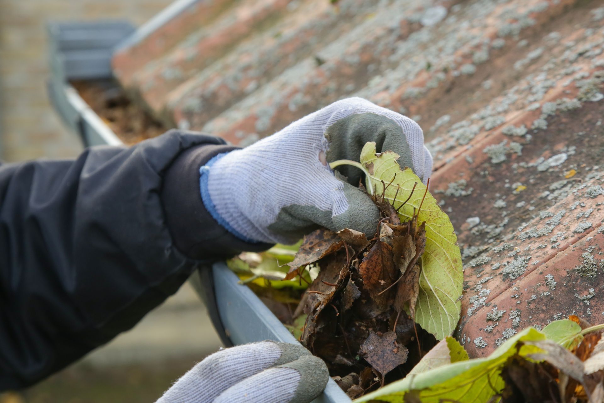 Person wearing gloves cleaning leaves from a gutter on a roof.