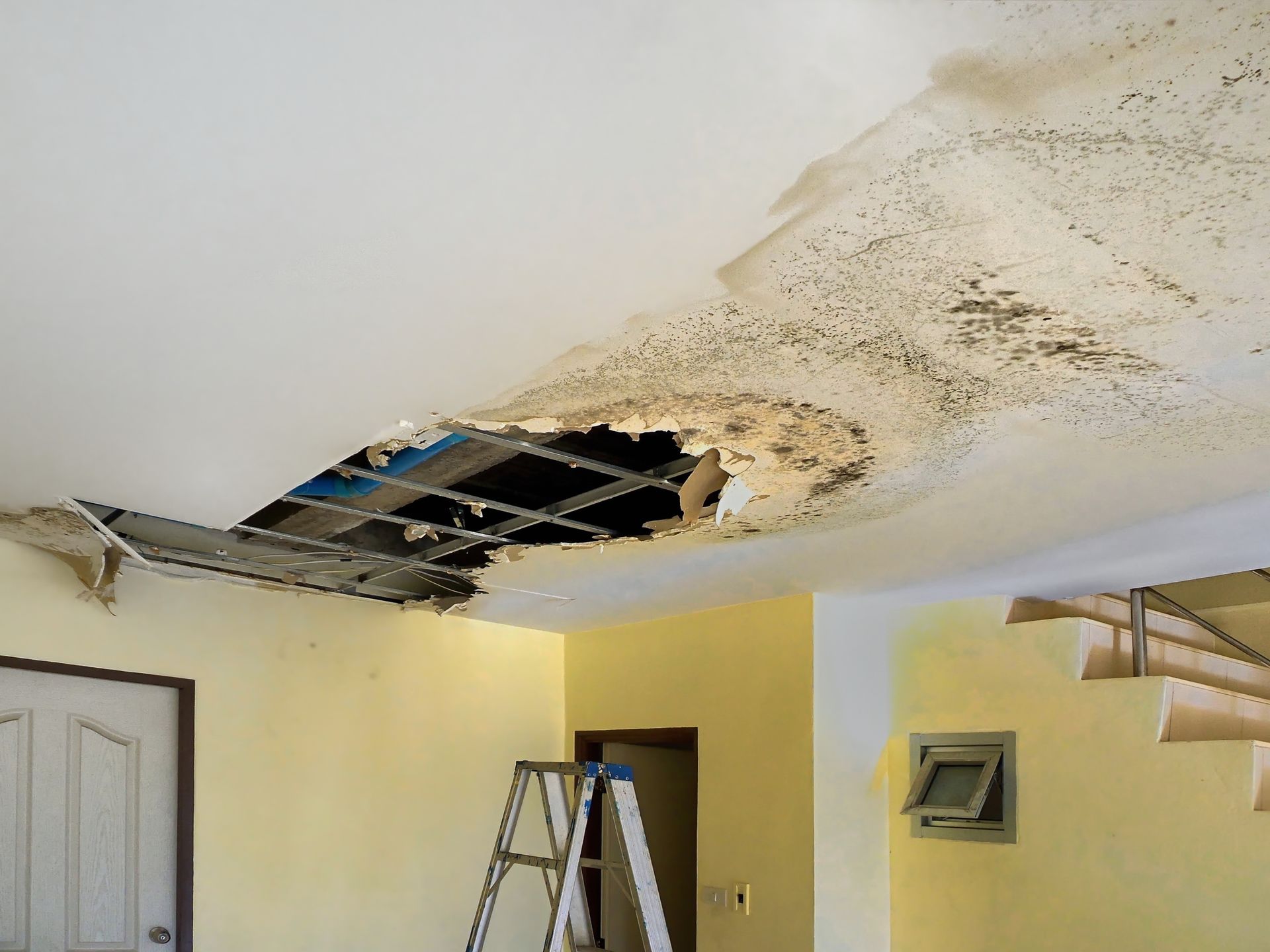 Damaged ceiling with a large hole; water damage and mold present; ladder below.