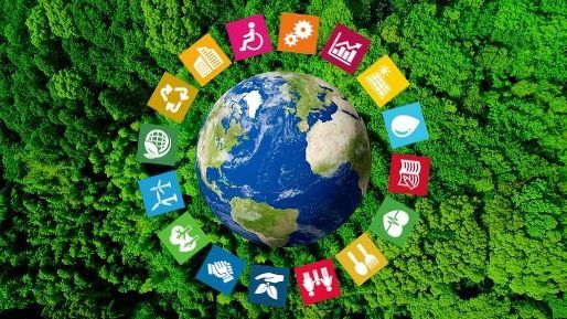 Agenda 2030 nel progetto B-Green