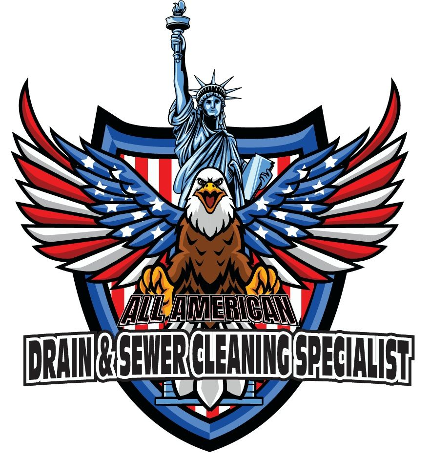 Logo: Bald eagle and Statue of Liberty with American flag wings, "All American Drain & Sewer Cleaning Specialist".
