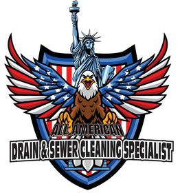 Logo: Bald eagle and Statue of Liberty with American flag wings, "All American Drain & Sewer Cleaning Specialist".