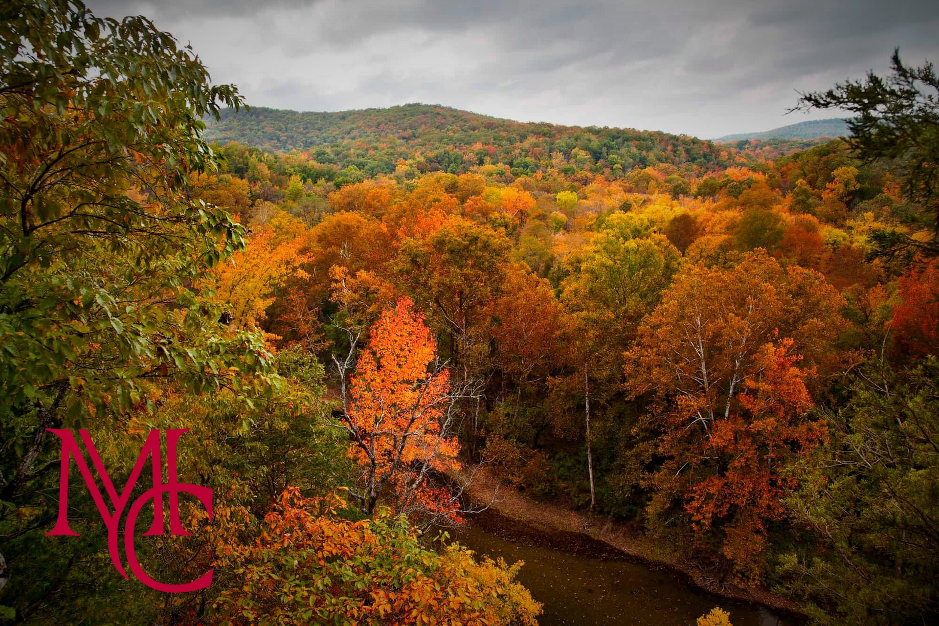 Mason Capital Group Real Estate Investment & Trust – Bentonville - Arkansas