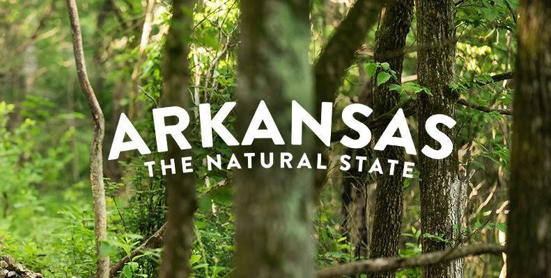 Mason Capital Group Real Estate Investment & Trust – Bentonville – Arkansas