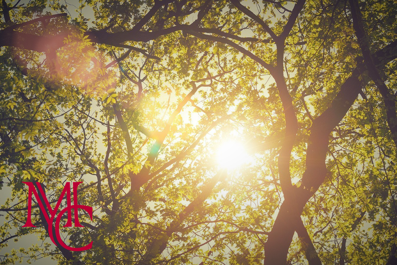 Mason Capital Group Real Estate Investment & Trust – Bentonville - Arkansas